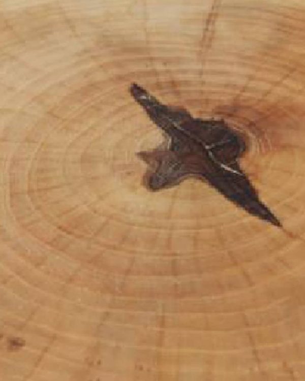 Silla de madera natural de Fresno con respaldo reciclado